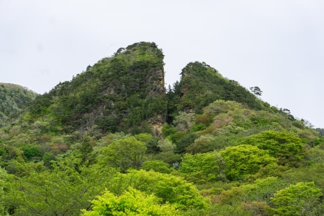 佐渡